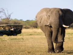 Lamu County Government is holding talks with the Kenya Wildlife Service in a bid to introduce game drives in Dodori National Reserve.