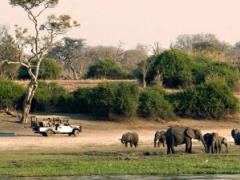 Moremi Game Reserve in Botswana.