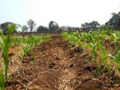 Botswana’s Department of Tourism is planning to diversify the country’s tourism offering with farm stays.