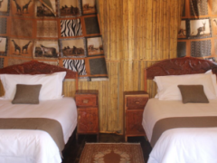  Dzibanana Lodge & Camping has 11 rooms and can accommodate 22 guests.