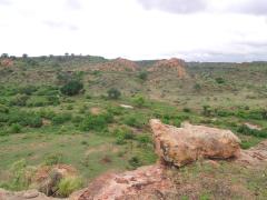 Boundless Southern Africa, a division at the Department of Environmental Affairs, is working to create a tourism access point within Mapungubwe National Park.