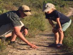 Gondwana Game Reserve now offers guests the opportunity to experience rhino tracking.