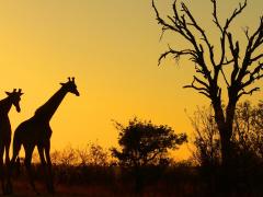 If the tourism industry doesn’t look after the destination, there will be nothing to promote and sell, say operators.