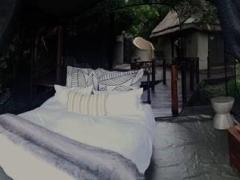 The beds on the deck of private suites are surrounded by mesh netting.