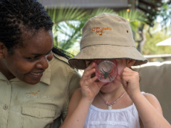 Bush Buddy examining bugs at Toka Leya near Victoria Falls