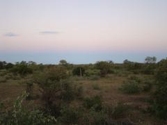 Timbavati Game Reserve has made an application to hunt an elephant known as a tusker.