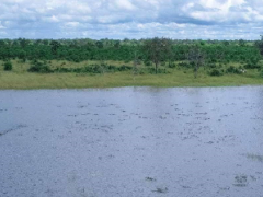 Nogatsaa Pans Lodge is currently being built in the remote Nogatsaa/Tchinga area of the Chobe National Park.