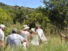 Guests can now enjoy a guided walking safari at Lalibela Game Reserve.