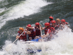 Wild Horizons closes white water rafting and Livingstone Island due to the high water levels of the Zambezi.