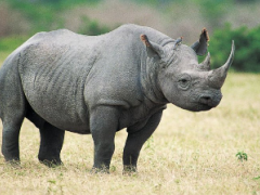 Conservation should not be left up to product owners alone, say members of the tourism industry.