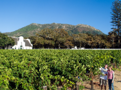 Private Journeys offers tailor-made, privately guided tours of the Cape Winelands.