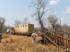Last year’s arrival of the elephant in Zinave.