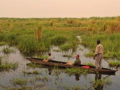 African Bush Camps activities resume in Botswana.