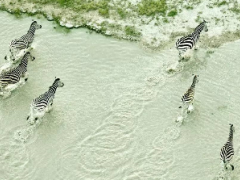 Helicopter flights will be on offer at Jack’s Camp from 2018.