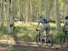  Escape Cycle Tours will be offering a new cycling safari, starting this October.