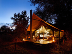 Pictured: The Plains Camp – Rhino Walking Safaris has been Fair Trade Tourism certified