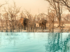 The refurbishment at Hyena camp in Botswana has been completed.