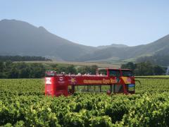 City Sightseeing and Wesgro have launched a new Winelands tour.