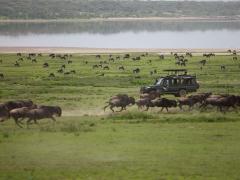 A concession fee has been implemented in Tanzania.