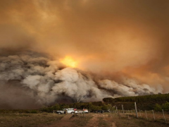 Satsa will waive its 2018 fees for members who were affected by the recent fires.