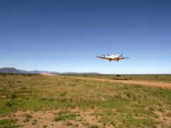 A new flight schedule by PlettAirSafaris and two new charter services have launched.