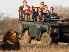 Tourism Update provides top tips for choosing the right safari for clients.