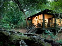 &Beyond Phinda Forest lodge in Phinda Private Game Reserve.