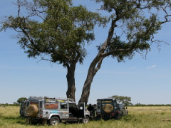 The Okavango Delta is one of the most sought-after wilderness destinations in the world.
