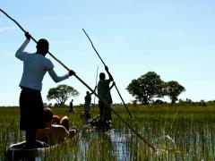 Travellers will get up close to one of National Geographic’s initiatives on a visit to a field camp of the Okavango Wilderness Project.
