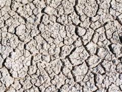 Etosha National Park is a must-do when visiting Namibia, which is home to the famous Etosha Pan. 