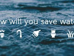 Take our survey, and give us your feedback on the severity of the current water crisis in Cape Town.
