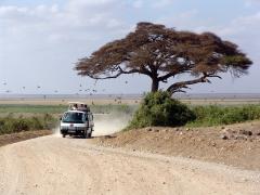 The Kenya Tourism Board attributes the increase in tourists to the peace enjoyed in the country after last month’s general election.
