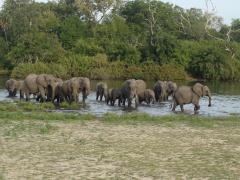 The TTB is in talks with three airlines to boost Tanzania’s tourism.
