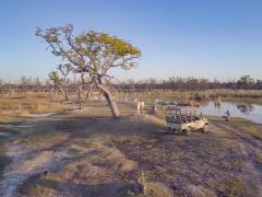 Drinks break in Moremi Game Reserve