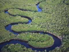 Customers can also add on a three-day pre-cruise programme in Cape Town, with a visit to Robben Island, a wine estate and the Cape of Good Hope.