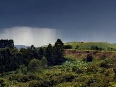 Uganda welcomes direct flights into national parks.