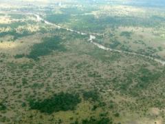 Work on Rafiki Camp has stopped until an agreement has been made.