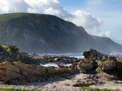 The Tsitsikamma section of the Garden Route National Park.