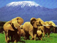 The key pillars of the blueprint are product development, marketing, investment and infrastructure development.