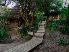 Thonga Beach Lodge has removed baths from its rooms to save water.