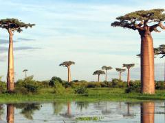 The stats show that the increase in international interest stems from the British, German, Dutch and American markets.