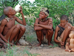 The Dawid Kruiper Rest Camp is expected to open in July 2019.