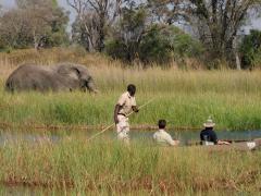 Government has denied that mobile tour operators have been barred from parks and game reserves.