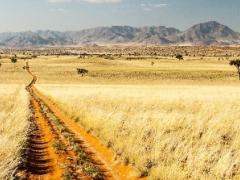 Deteriorating roads in Namibia’s tourism hotspots are negatively affecting tourist travel.