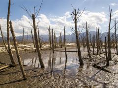 At the peak of the tourist season, international tourists on average add less than 1% to the overall population of the Western Cape