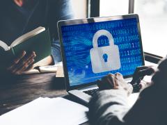 Cyber piracy in the tourism industry is fast becoming a major problem, with websites mimicking those of legitimate reserves and lodges.