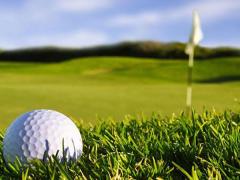 Harrison Mwakyembe, called on the Tanzania Golf Union to partner with the ministry in future efforts to develop the game.