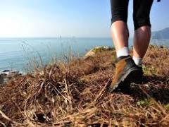 The Harkerville area starts to resume activities after the Knysna fires.