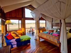 Lion Camp is undergoing renovations.