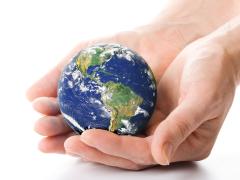 Paul Zille has been appointed CEO and will take up the position from January 1.